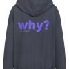 Hoodie Why so serious grauschwarz Rückteil