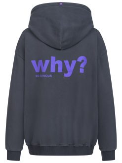 Hoodie Why so serious grauschwarz Rückteil